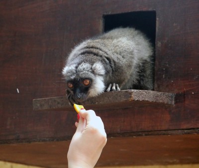 動物飼養(yǎng)員圖片
